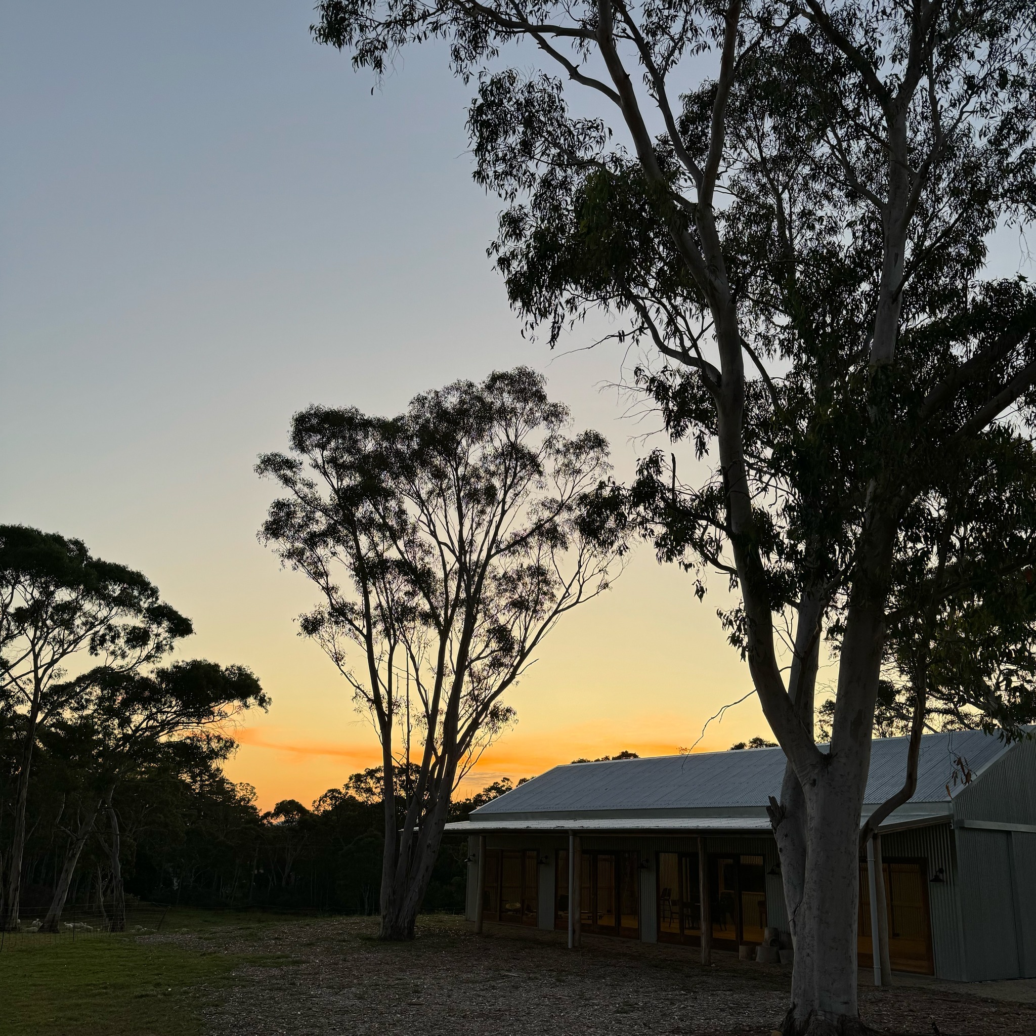 Sunset at The Old Stables 
.
.
.
.
#megalongvalley #bluemountains #werriberri #farmlife #accommodation #retreats #lot101