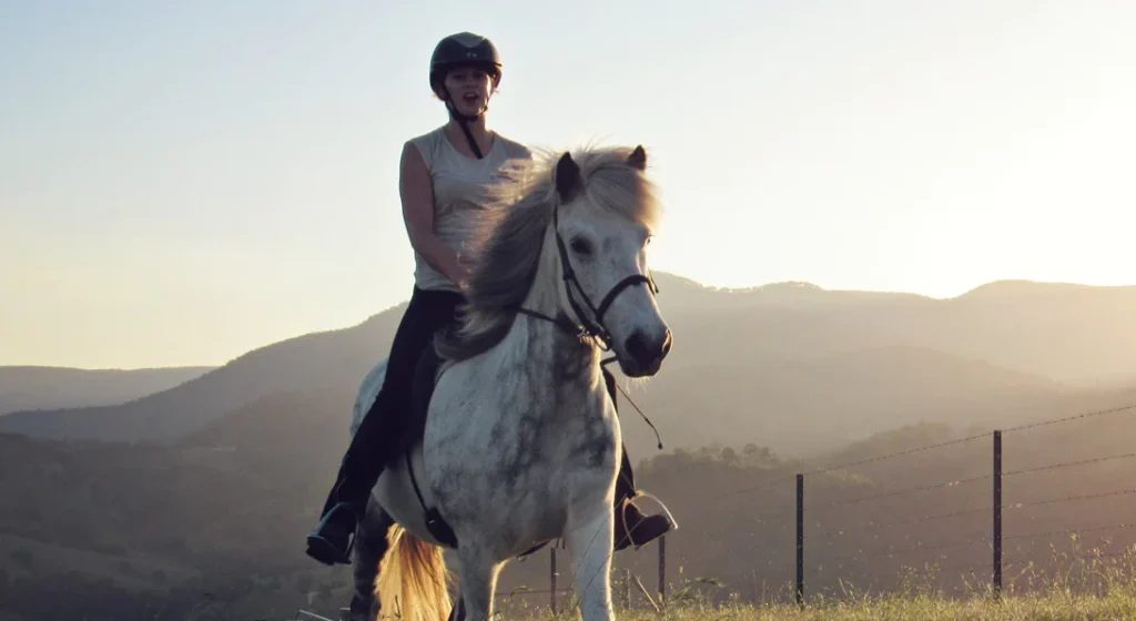 A woman in a helmet rides a white horse in the glistening light of sunset, with hilly landscapes in the background. The setting sun casts golden hues over the serene scene, inspiring ideas for home | Werriberri